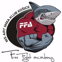 Main image of FreeFightAcademy Košice