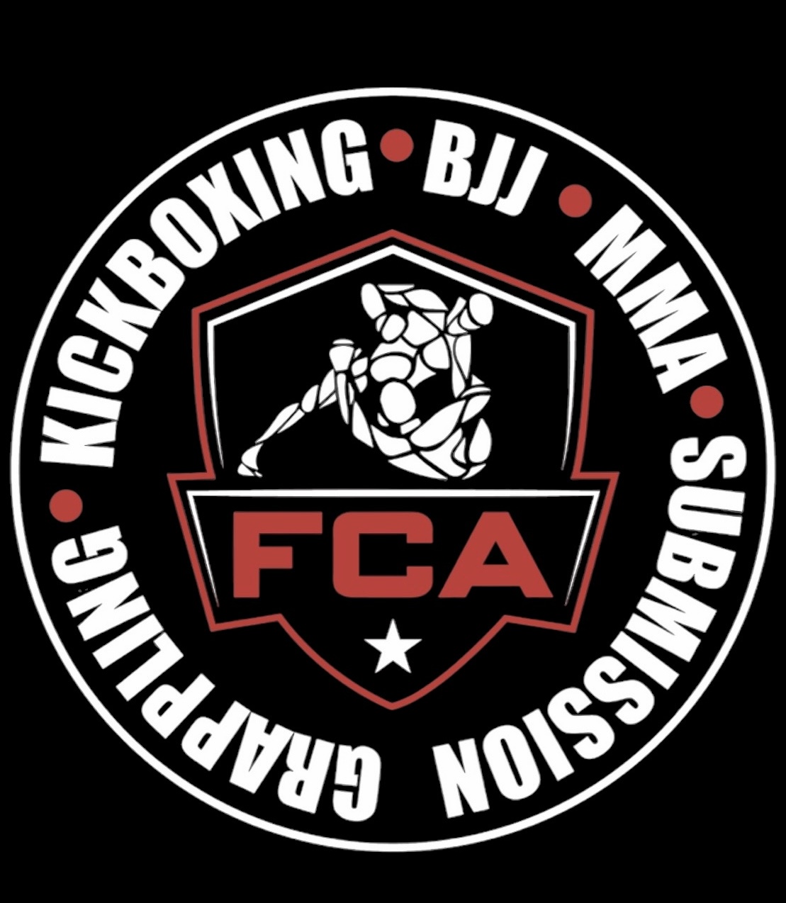 Main image of Freestyle Combat Academy