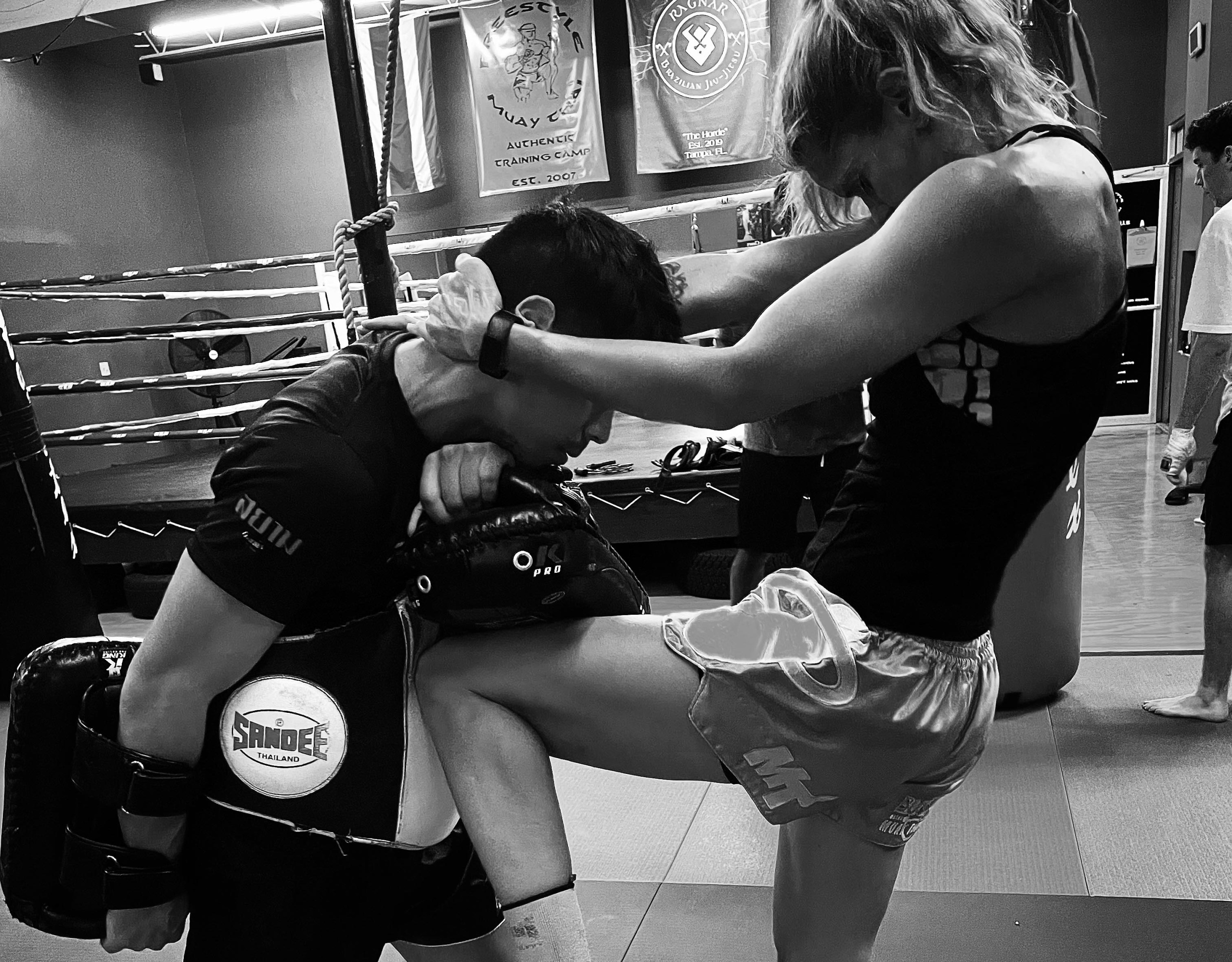 Freestyle Muay Thai academy image