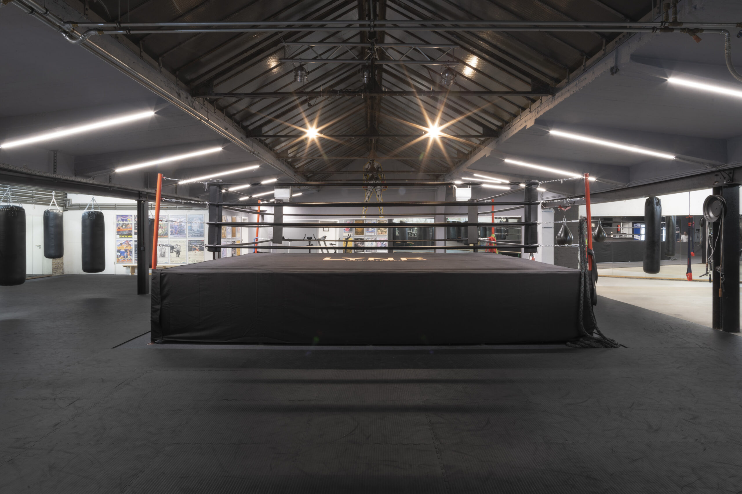 Freudenreich Professional Boxing academy image