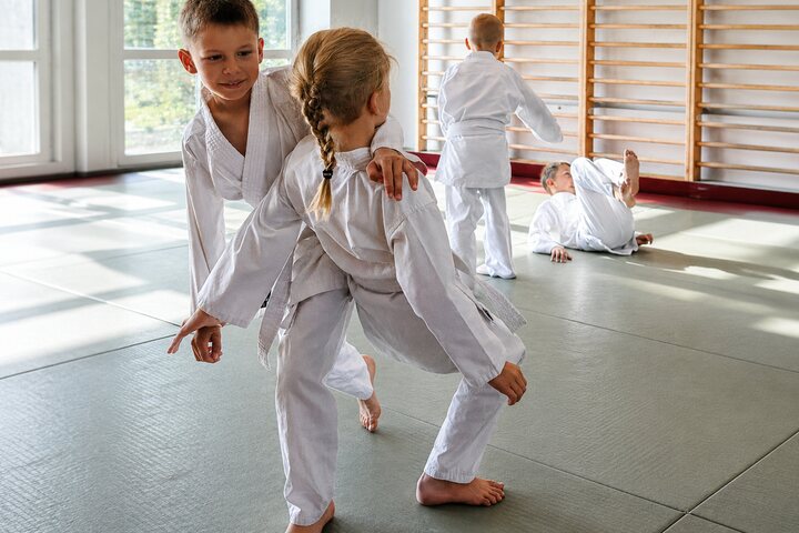 Main image of Fudoshin Aikido Dojo