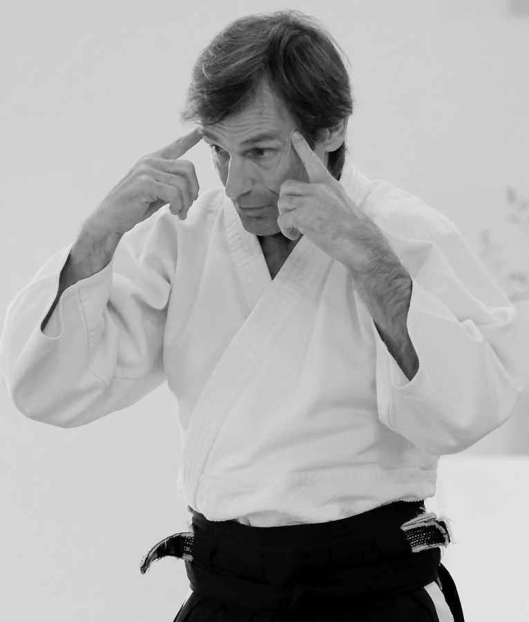 Main image of Fudoshin Dojo Leipzig