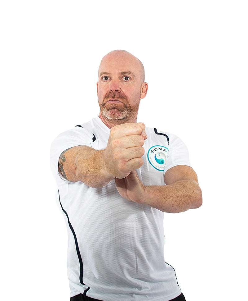 Main image of Fuli Martial Arts