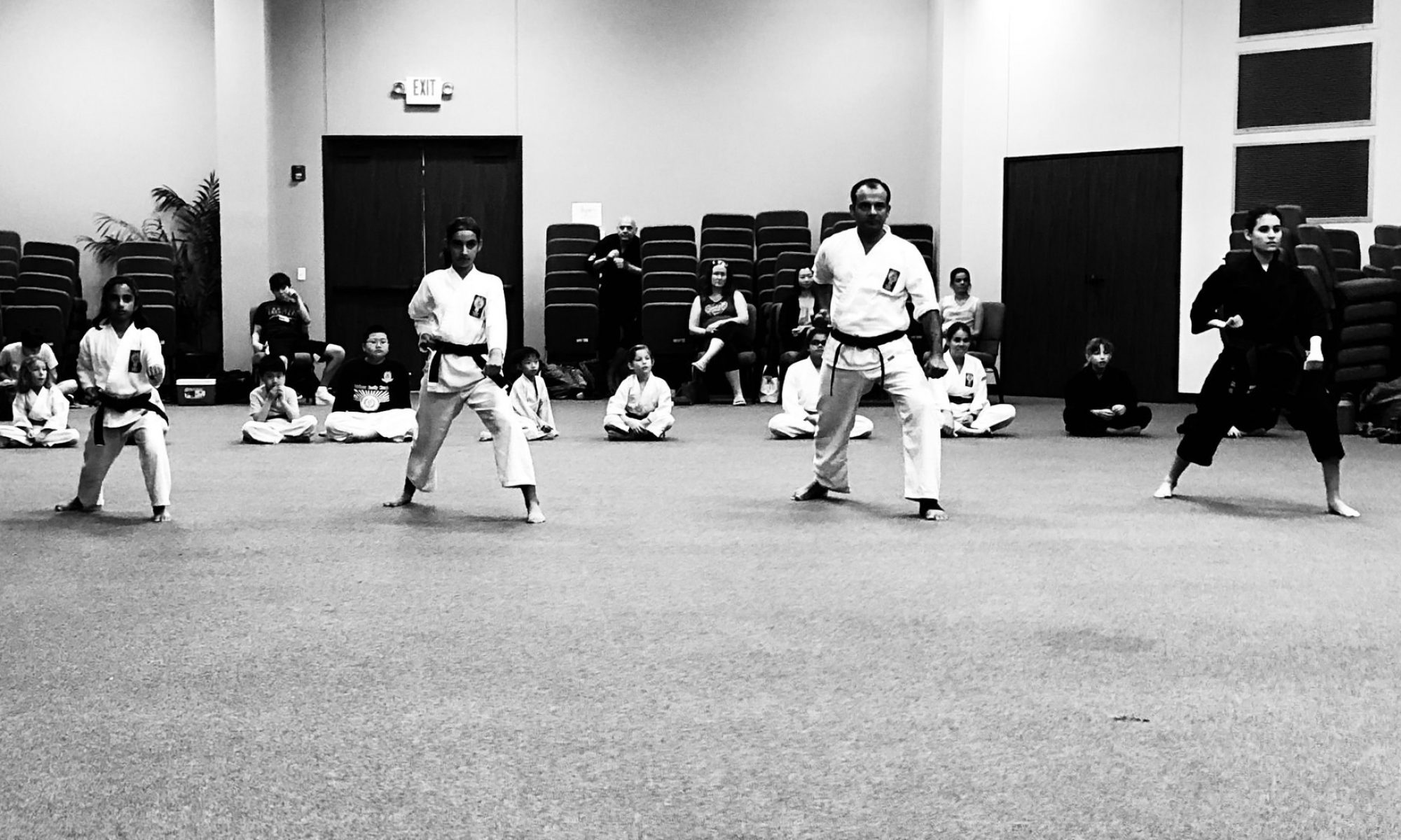 Fulshear Family Karate