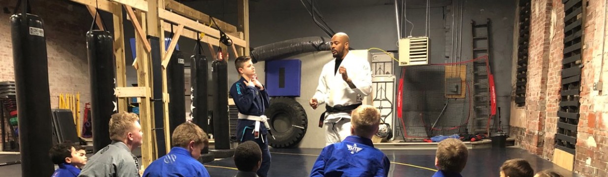 Main image of Functions Of Brazilian Jiu-Jitsu