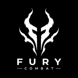 Main image of Fury Combat