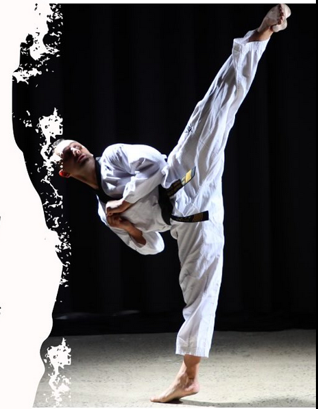 Main image of Fusion Martial Arts