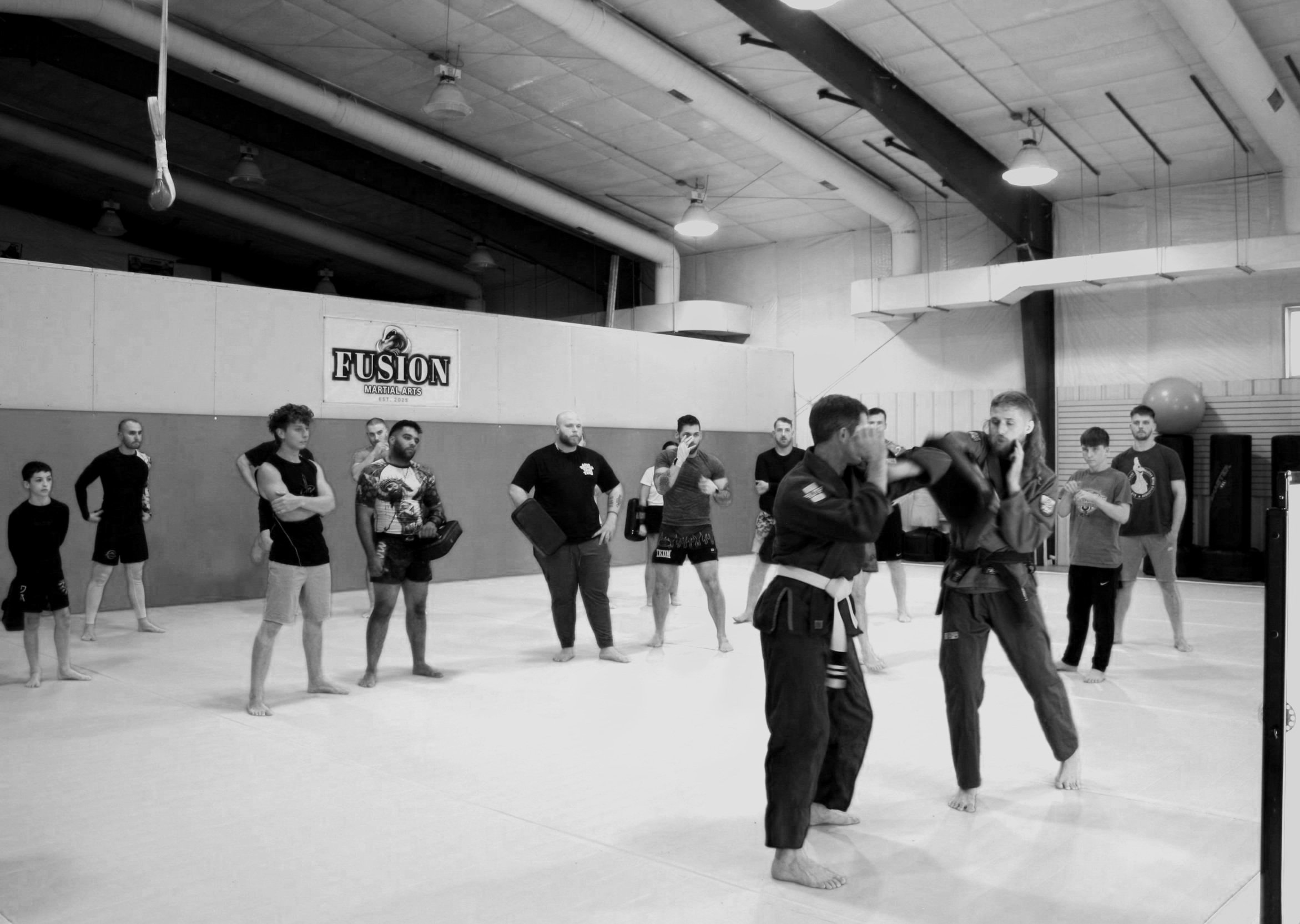 Main image of Fusion Martial Arts of Warren