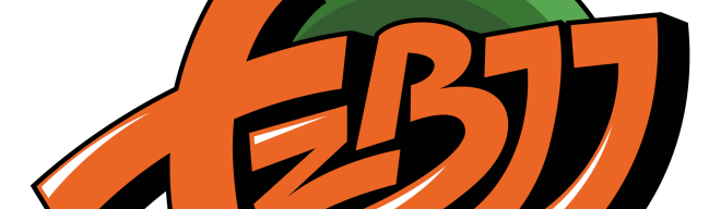 Main image of FZBJJ