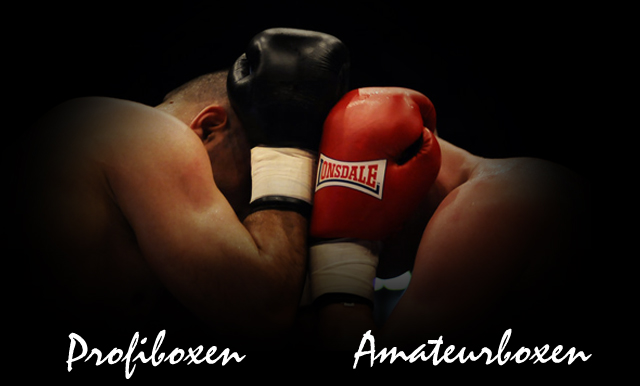 Main image of G.t.-profi-link-boxing