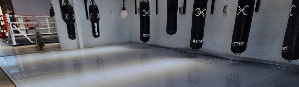 Main image of GAINZ BJJ