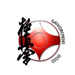 Main image of Gaivoronski Dojo