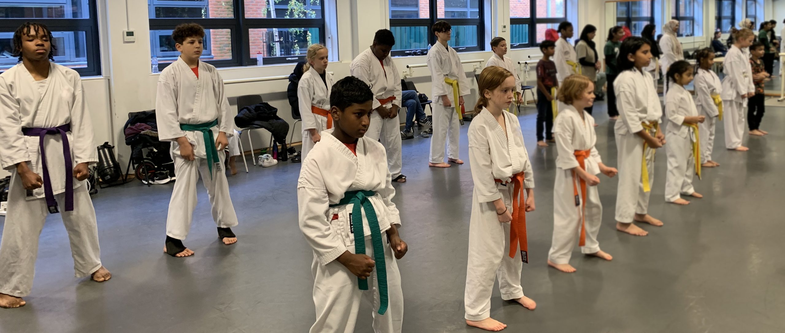 Main image of Gakusei Karate Leyton