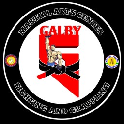 Main image of Galby Matrial Arts Center