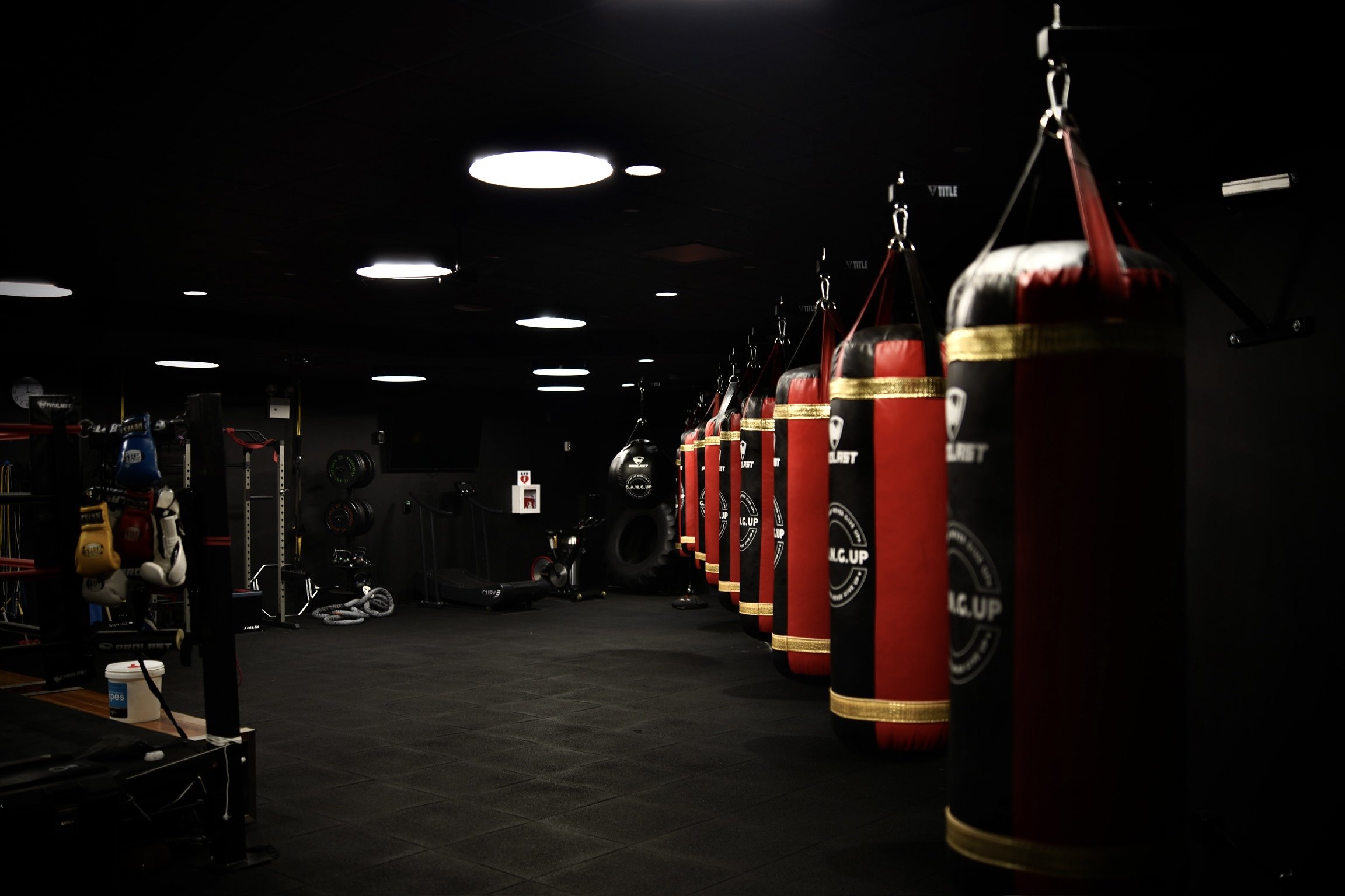 Main image of GANG UP Boxing Gym