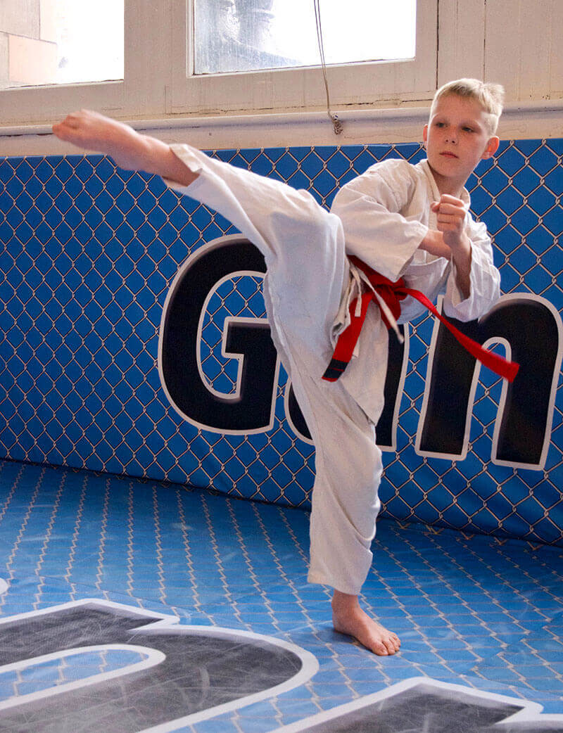 Main image of Gannon's Martial Arts - Hull