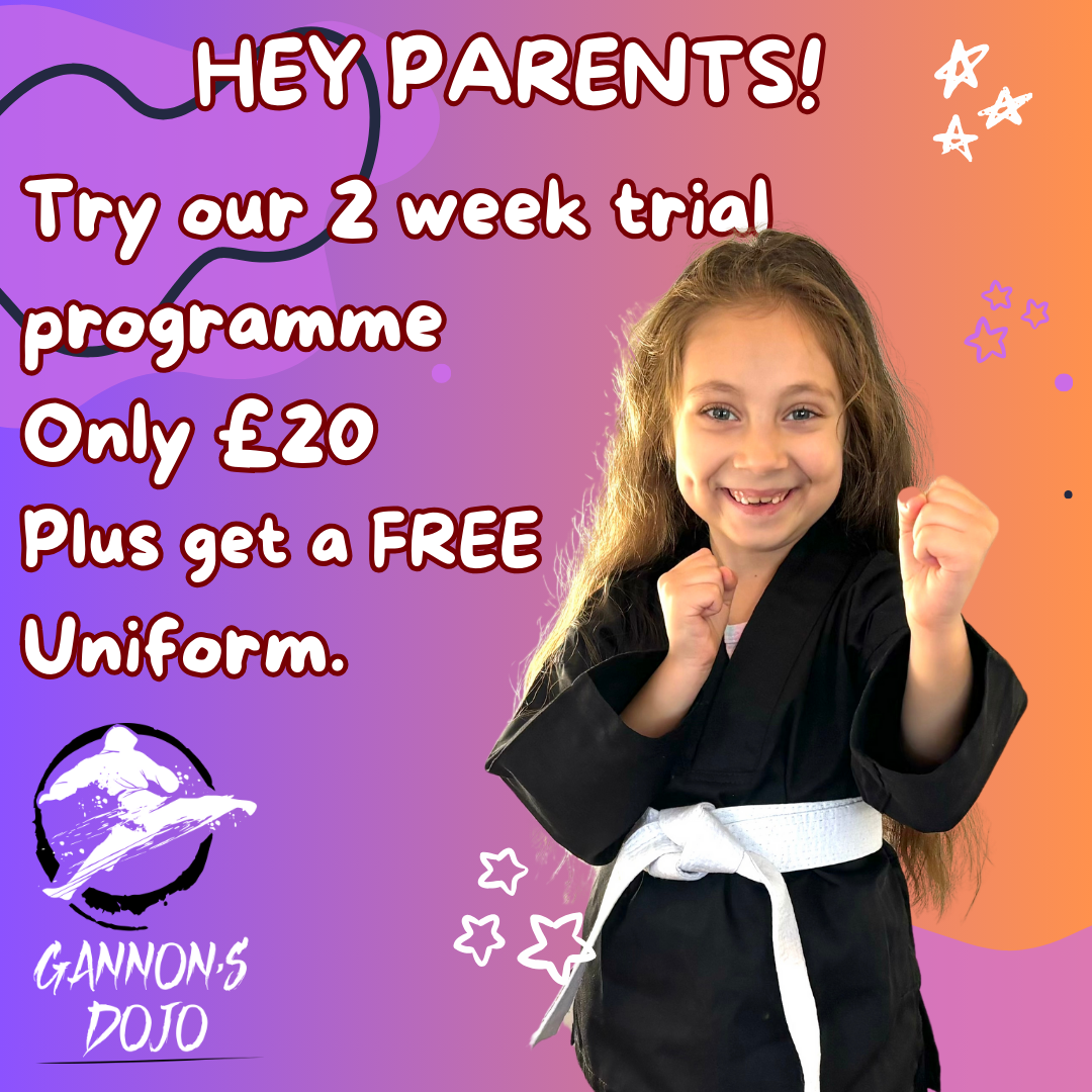 Main image of Gannon's Martial Arts - Leicester
