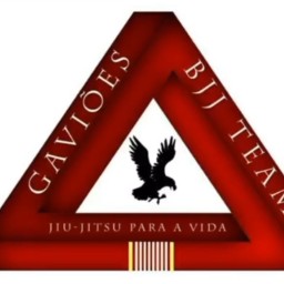 Main image of GAVIÕES BJJ TEAM