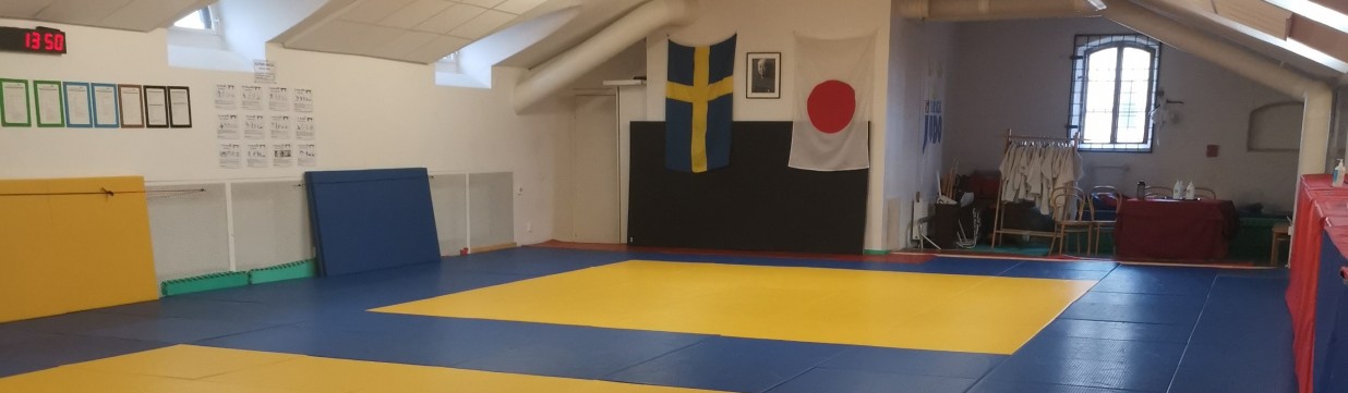 Main image of Gävle Judo Club