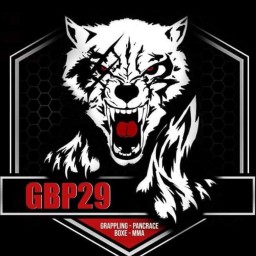 Main image of Gbp29