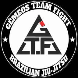 Main image of Gêmeos team figth