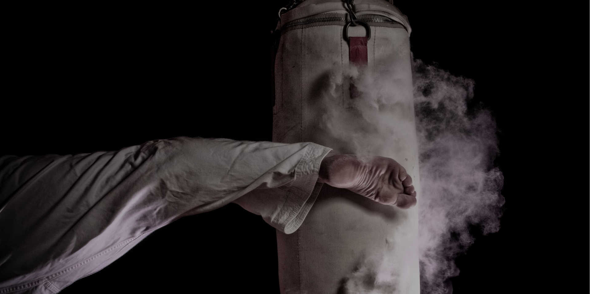 Main image of Gemini Tae Kwon-do