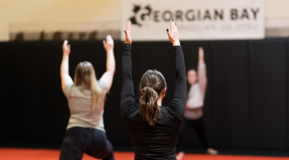 Main image of Georgian Bay Brazilian Jiu Jitsu