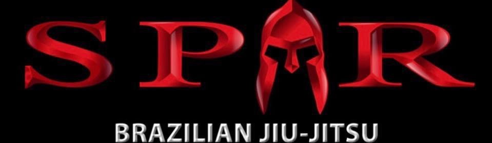 GF Team Buffalo / Spar BJJ