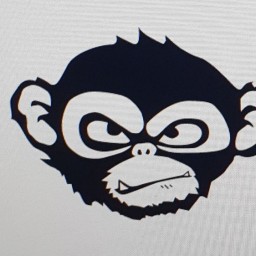 Main image of GIBBON CHAMPION TEAM