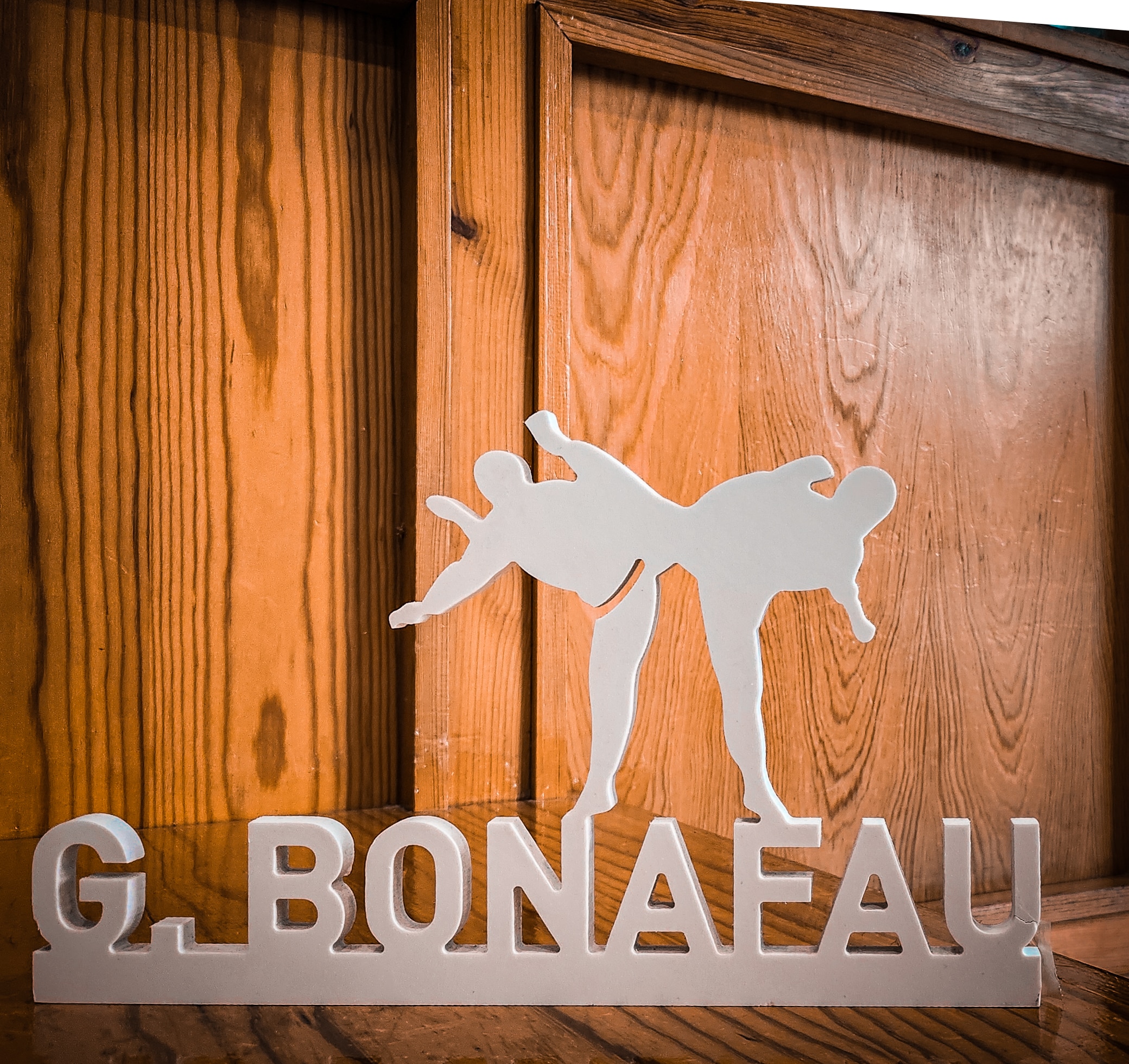 Main image of Gimnasio Bonafau