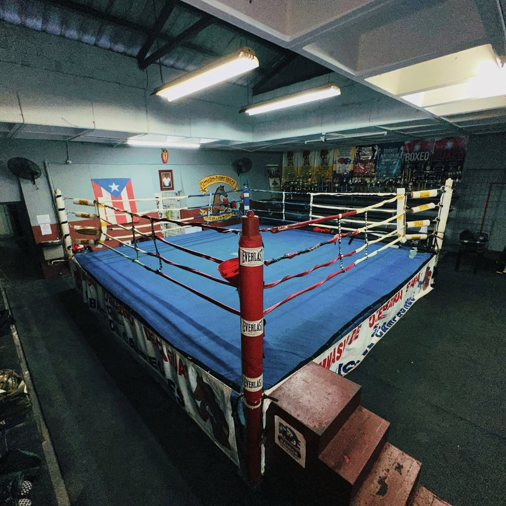 Main image of Gimnasio de Boxeo Bairoa