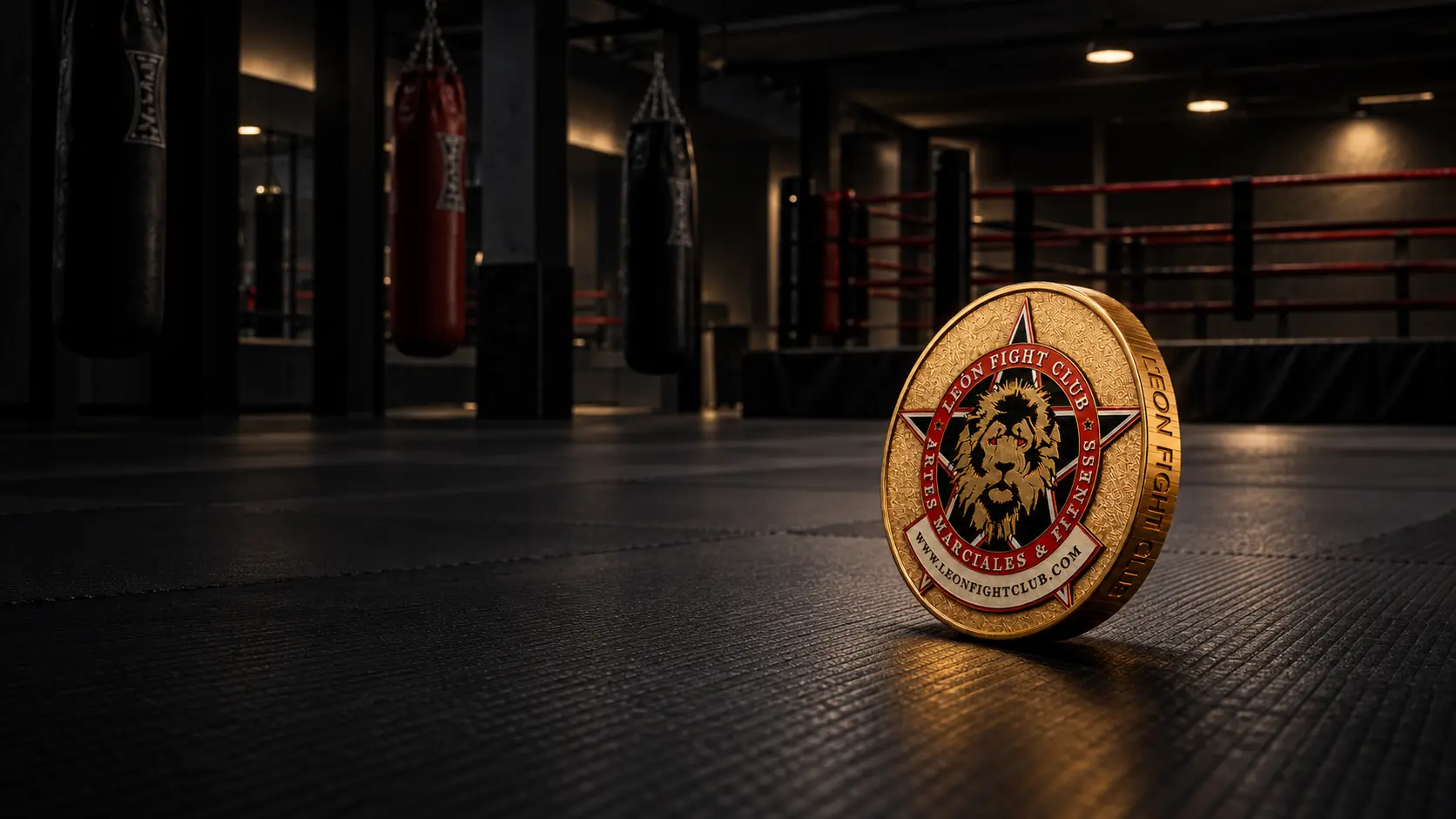 Main image of Gimnasio León Fight Club