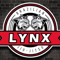 Main image of GIMNASIO LYNX MMA BJJ