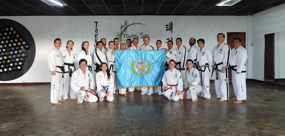 Main image of Gimnasio Young soo
