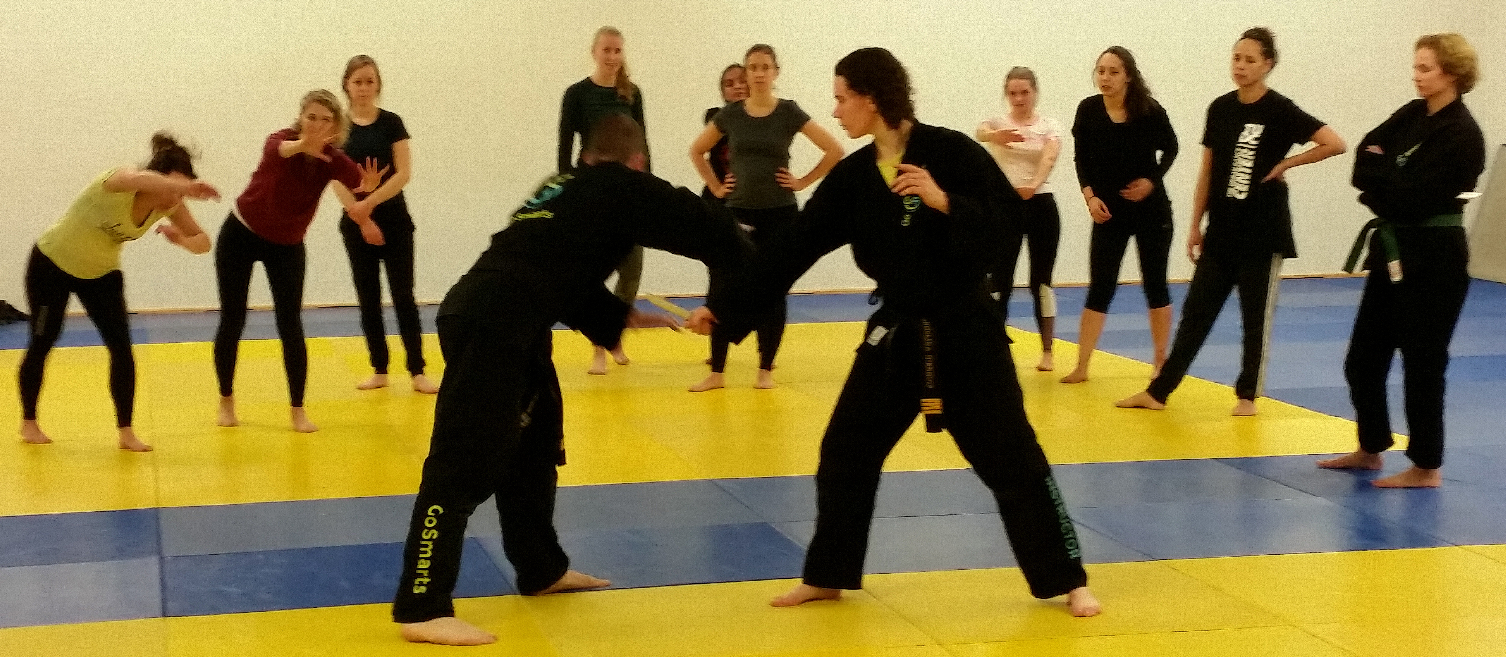 Main image of Go Smarts Martial Arts
