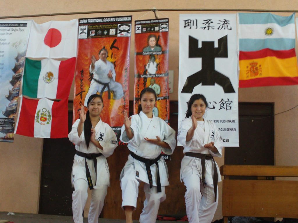 Main image of Goju Ryu Sud America