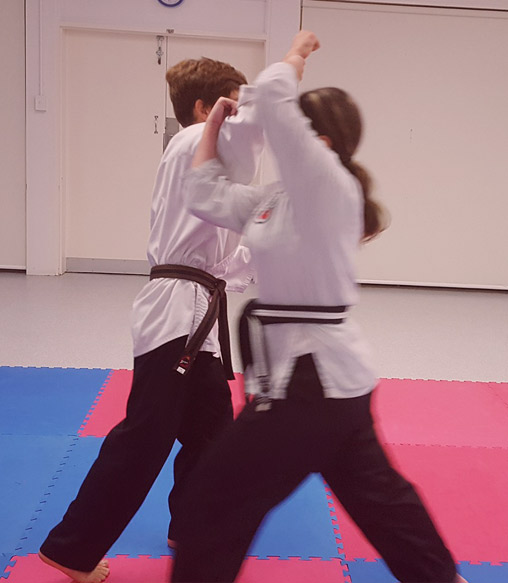 Main image of Gold Coast Self Defense Academy