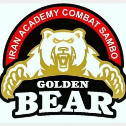 Main image of golden bear