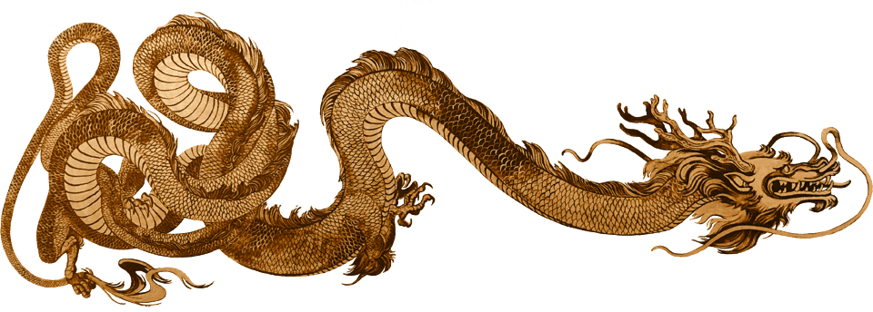 Golden Dragon Martial Arts Club