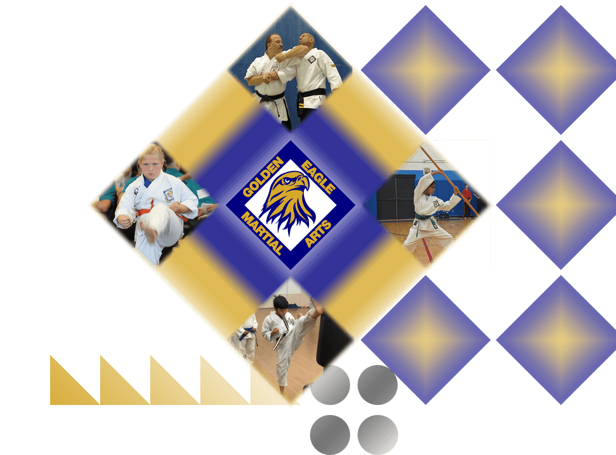 Main image of Golden Eagle Martial Arts - Galway