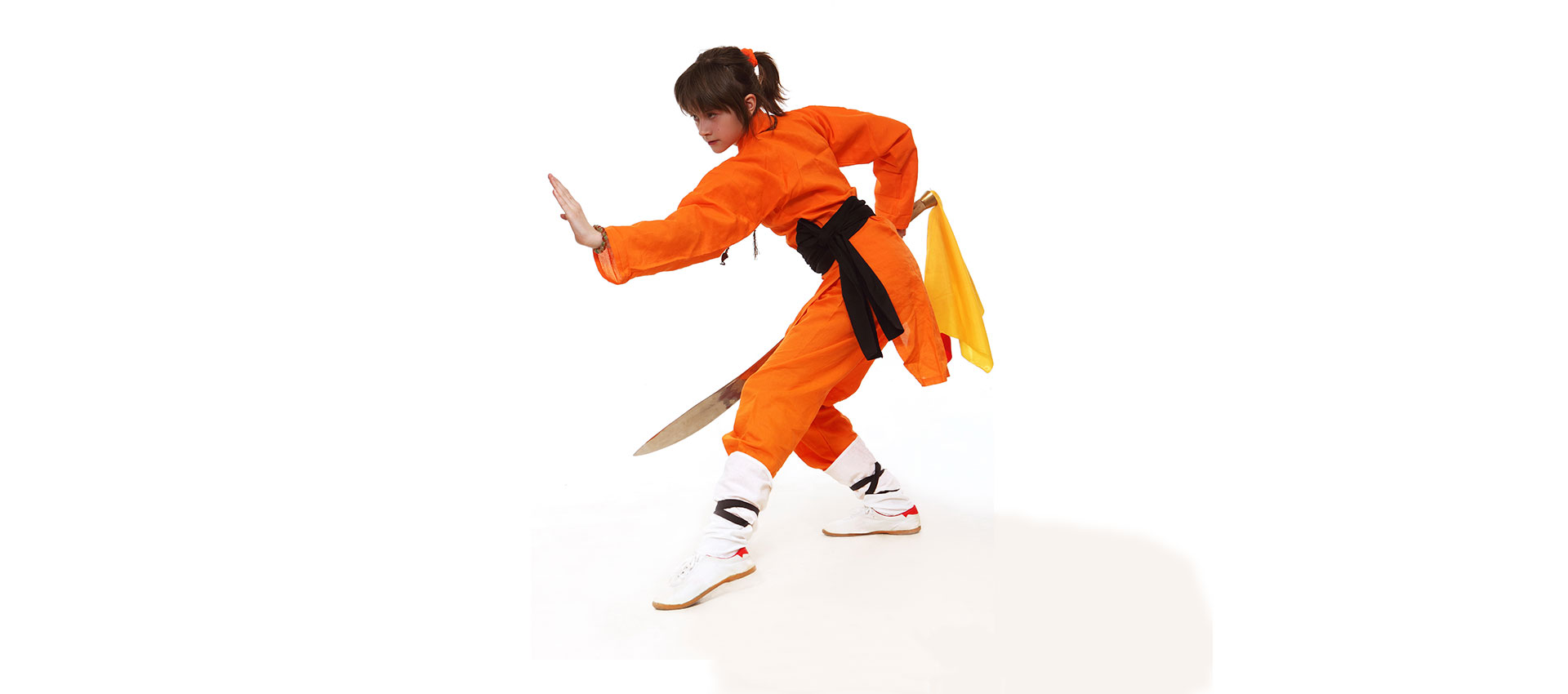 Main image of Golden Tiger School of Kung Fu