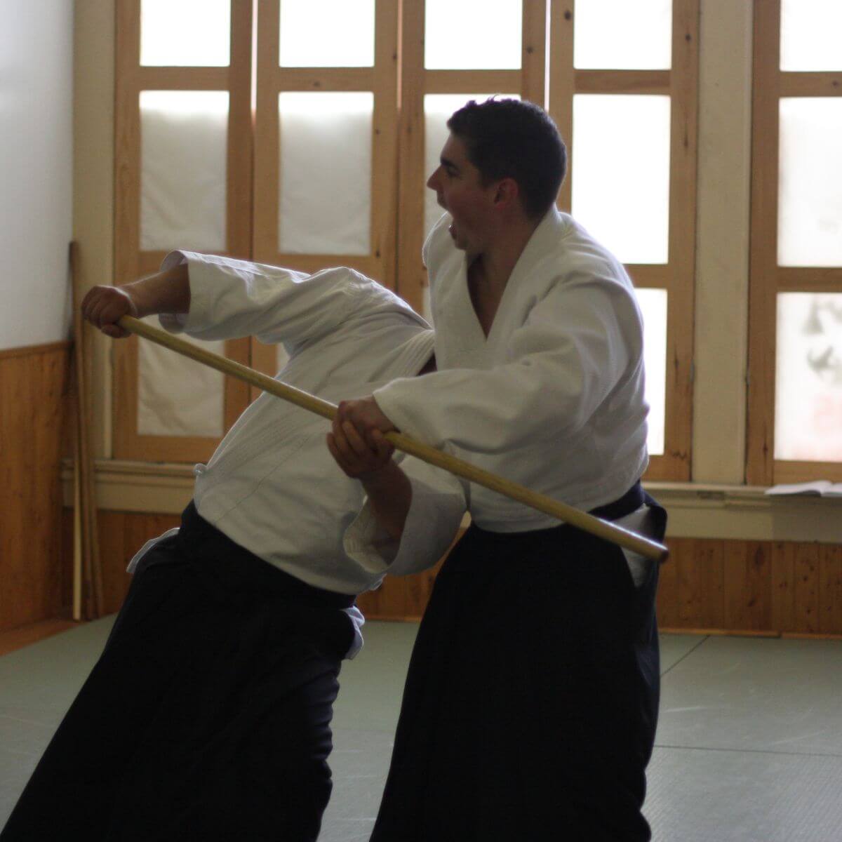Main image of Golden Triangle Aikido