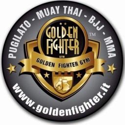 Main image of Goldenfighter