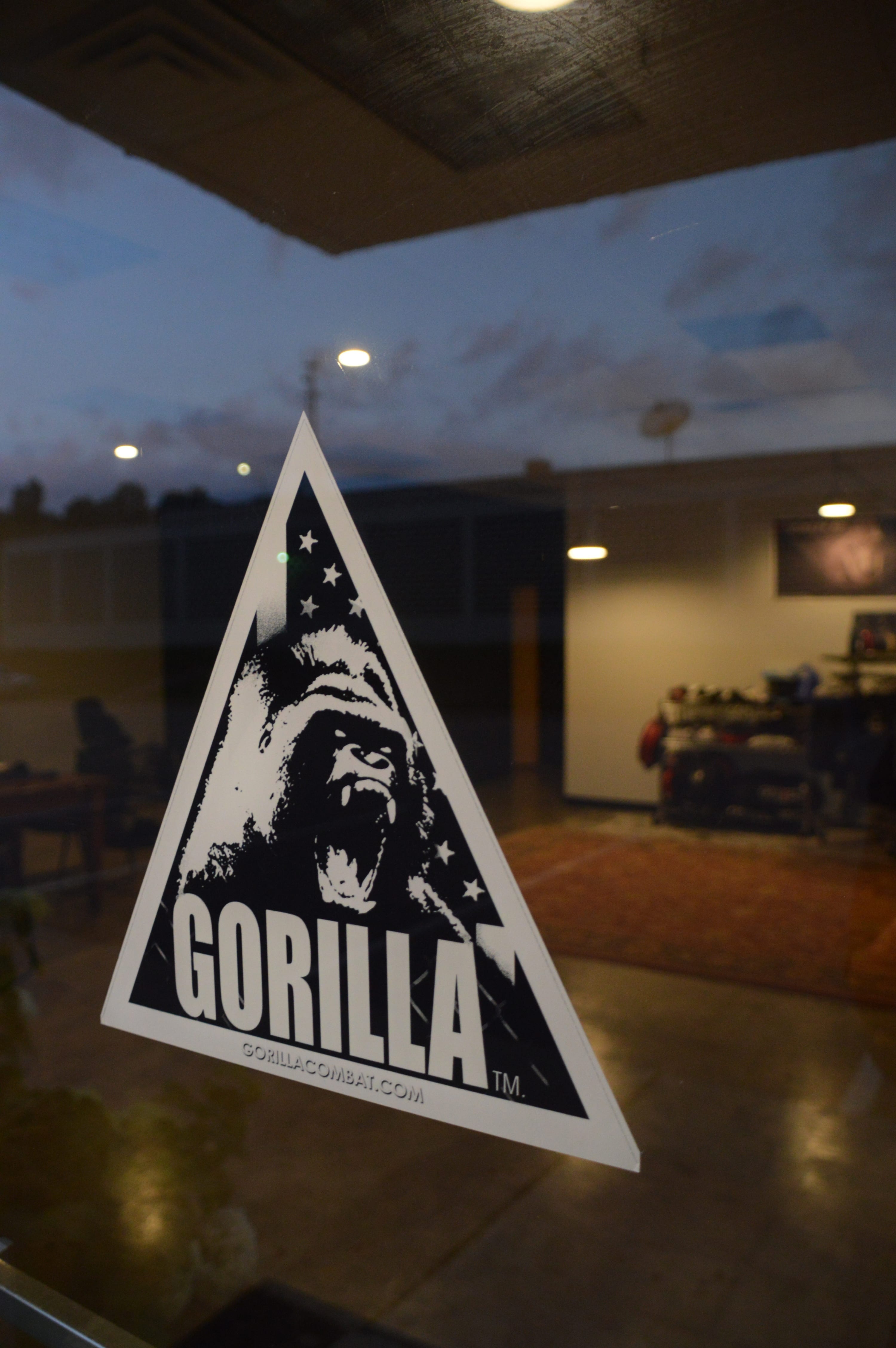 Main image of Gorilla Combat