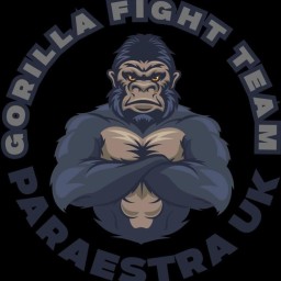 Main image of Gorilla Fight Team
