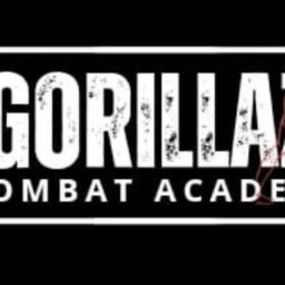 Main image of Gorillaz Combat Academy