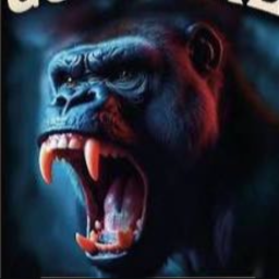 Main image of Gorillaz mma Wadowice
