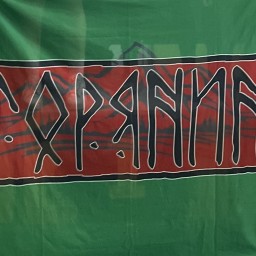 Main image of Goryanin_fc