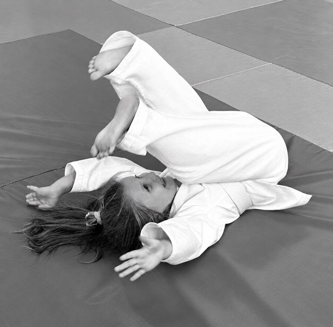 Main image of Goshindokan Liestal