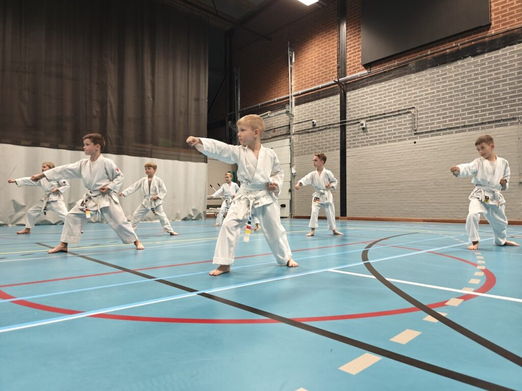 Main image of Goshinkai Eeklo
